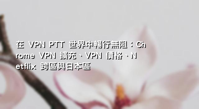 在 VPN PTT 世界中暢行無阻：Chrome VPN 擴充、VPN 價格、Netflix 跨區與日本區