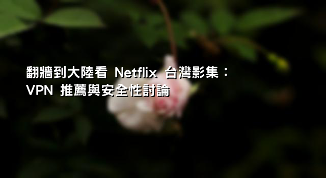 翻牆到大陸看 Netflix 台灣影集：VPN 推薦與安全性討論