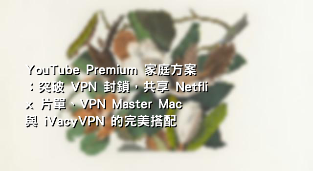YouTube Premium 家庭方案：突破 VPN 封鎖，共享 Netflix 片單、VPN Master Mac 與 iVacyVPN 的完美搭配